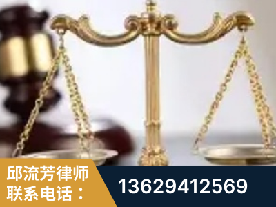 桐乡-委托诉讼代理人出庭